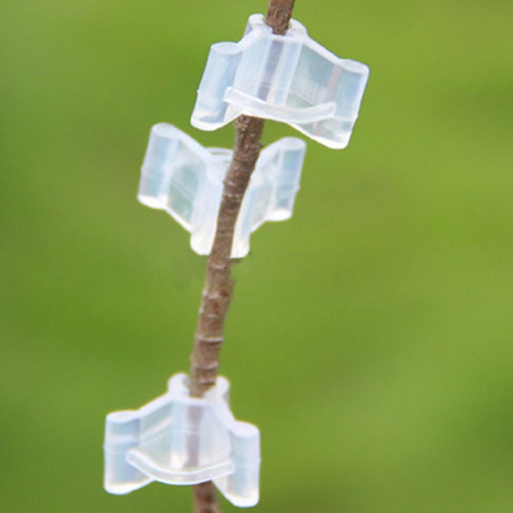 20 шт. Клипса для прививки растений Клипса для прививки рассады томатов Зажим для прививки баклажанов Мини-прозрачный Прививка цветущих растений