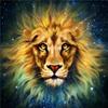 50x50cm 5D DIY Diamond Painting New Arrivals Lion Diamond Embroidery Sale Animal Rhinestones Mosaic Handmade Gift
