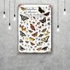 little butterfly manga Decor Vintage Metal Signs Tin Signs Captain Poster Decor for Bar Pub Club Man Cave Wall Decoration