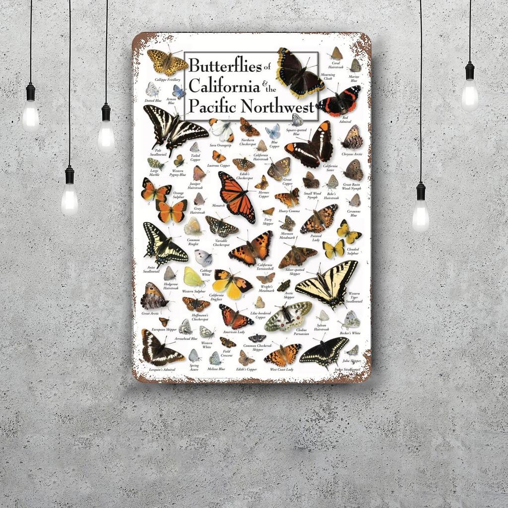 little butterfly manga Decor Vintage Metal Signs Tin Signs Captain Poster Decor for Bar Pub Club Man Cave Wall Decoration
