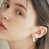 cotoit Big Shell Earrings