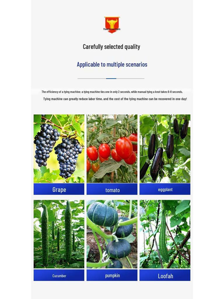 New Multi-Crop Tying Tool: Efficiently Ties Grapes, Tomatoes, and Cucumbers