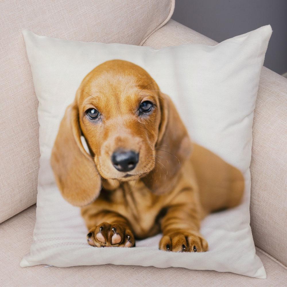 Mini Dachshund Cushion Cover Decor Pet Animal Pillowcase Sofa Home Children's Room Pillowcase