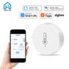 Tuya ZigBee Mini Temperature And Humidity Sensor Indoor Humiture Detector Works With Alexa Google Home Voice App Control