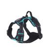 Luminous Pet Harness Rechargeable LED Lighted Dog Harness Adjustable Glowing Pet Chest Strap