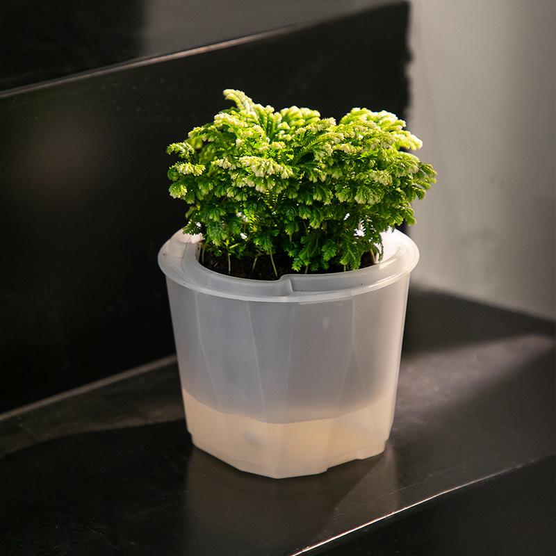 Transparent Self-Watering Round Plastic Succulent Pot