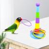 Activity Playground Development Parrots Platform Colorful Rings Bird Chew Toy Ferrule Toy