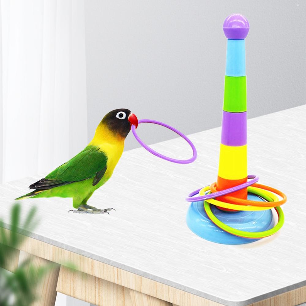 Activity Playground Development Parrots Platform Colorful Rings Bird Chew Toy Ferrule Toy