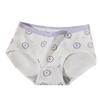 Japanese Printed Women's Underwear Cotton Briefs Seamless Comfortable and Fashionable Underwear