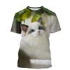 Summer Casual Short Sleeved T-shirt New 3D Plush Cat Fun Kitten Print Personalized Versatile T-Shirts