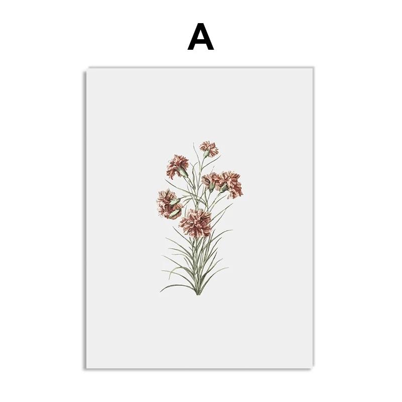 Винтажные постеры с дикими растениями, ботанические цветочные принты, картины на холсте, современные настенные художественные картины для гостиной, украшения дома