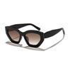 Ryan leopard print irregular cat eye sunglasses women's European and American advanced sense personalized outdoor street sunshade sunglasses