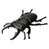 TAKARA TOMY Ania Hirata Stag Beetle Insect Toy Ages AS-41 3+