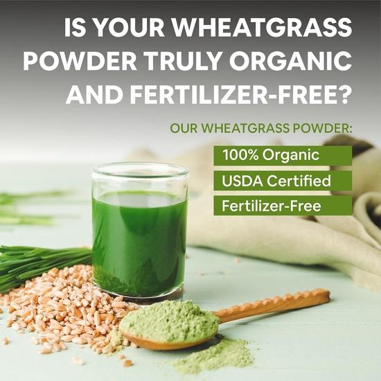 Carbamide Forte 100% Natural Organic Wheatgrass Powder | Wheat Grass Powder Organic  | Wheatgrass Juice Powder - 100g Wheatgrass Powder Organic