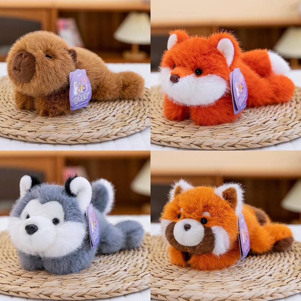 Capybara Sloth Husky Fox Raccoon Animal Plush Toy Doll Kids Room Decoration Gift