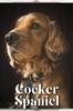 Книга Cocker Spaniel : Dog Breed Overview and Guide