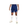 Футбольные брюки Inter Milan Strike Dri-FIT Soft Skin Мужские брюки HJ6752-492