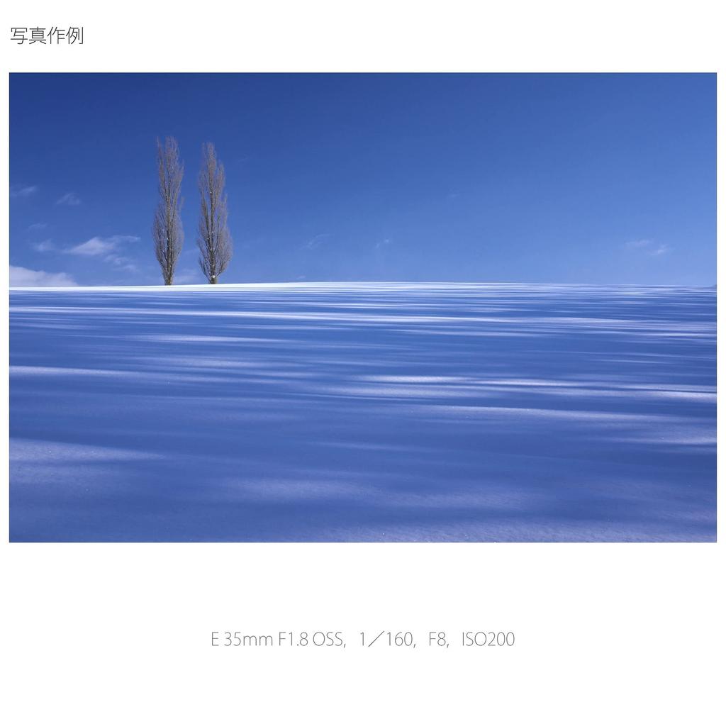 Sony Single Focus Lens E 35mm OSS for Sony E Mount Only SEL35F18 F1.8 APS-C