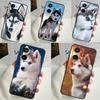 Чехол с рисунком щенка хаски для Realme C55 C53 C51 C35 C33 C30 C67 C21Y C25s C15 9 10 12 11 Pro Plus GT Neo5
