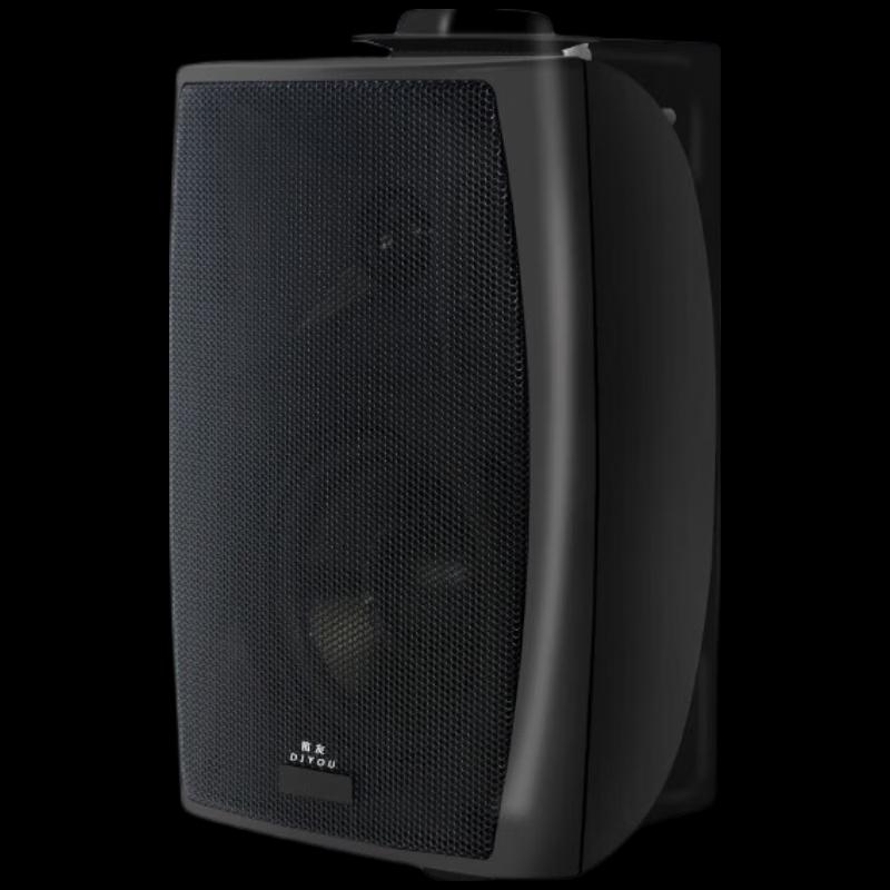 Diyou Wall-Mounted Conference & Broadcast Speaker System CN plug (adapter included)