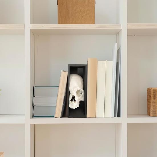 Halloween Skull Bookend Bookshelves Decoration Spooky Gothic Skull Figurine Home Office Desktop