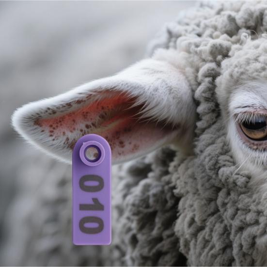 Бирки для ушей овец 001-100 Номерные бирки Бирки для сельскохозяйственных животных Аппликатор для ушных бирок для коров коз овец свиней сельскохозяйственных животных