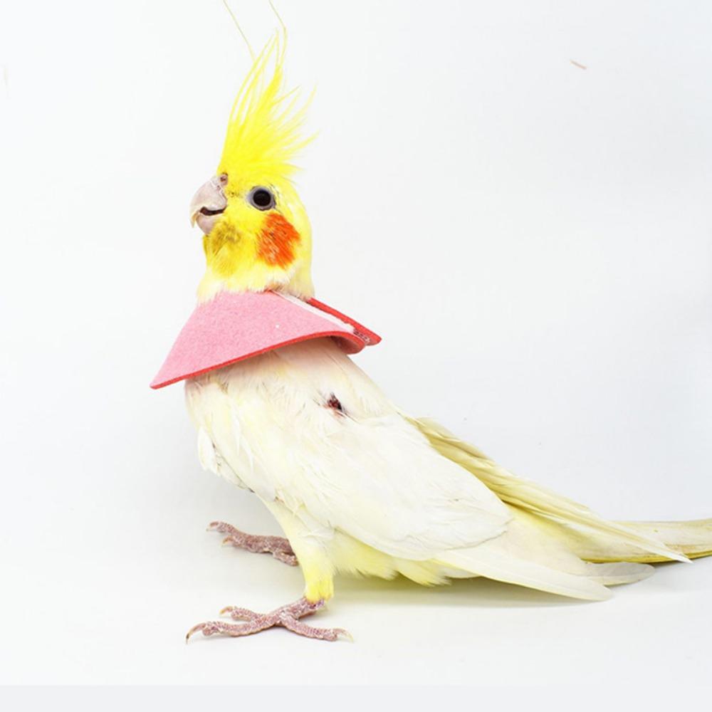 Adjustable Anti-bite Bird Cloak Bird Recovery Collar Parrot Elizabethan Circle Bird Neck Sleeve