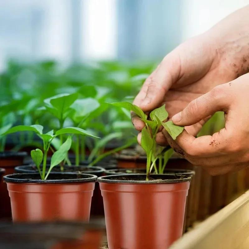 100 шт. Пластиковые горшки для рассады растений, многоразовые горшки для рассады растений, контейнеры для цветущих растений, горшки для выращивания рассады для садов