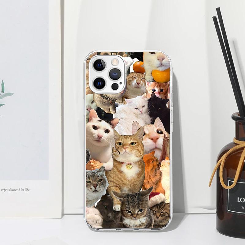 Crying Cat Memes Phone Case For Iphone 17 Air 16 15 Plus 16E 14 Pro Max 13 Mini 12 11 7 8 SE Fundas Soft Back Cover 17 Air 16 15