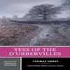 Tess of the dUrbervilles by Thomas Hardy Paperback Book 9781324071891