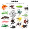 Dorcus Intermedius Образцы Атласских Подвидов Насекомых Настоящие Жуки Жуки-Олени Giddyups И Бабочки Для Коллекционеров