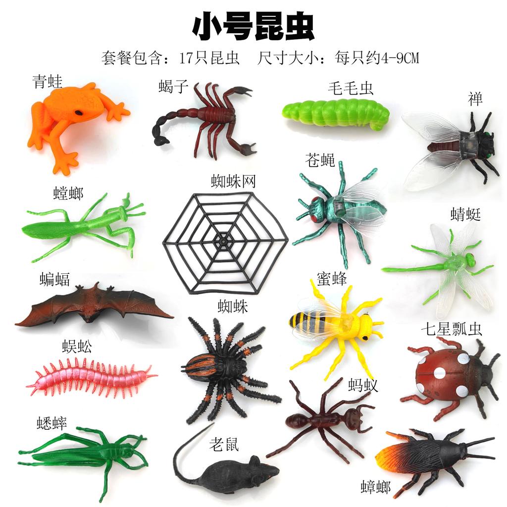 Dorcus Intermedius Образцы Атласских Подвидов Насекомых Настоящие Жуки Жуки-Олени Giddyups И Бабочки Для Коллекционеров