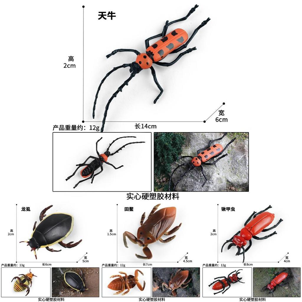 Модель жука, игрушка со статичным дисплеем, для обучения и исследования детей
