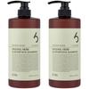 CH6 Greenol Herb Allophosia Shampoo Green Tea Wood Fragrance, 1L, 2 Ea.
