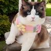 Pet Harness Reflective Cat Harness Breathable Puppy Harness Adjustable Comfort Pink Size M For Travel And Outdoor Use