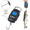 50Kg/5g Electronic Digital Scale Backlit LCD Display Portable Hanging Hook Scale Double Accuracy Fishing Travel Mini Scales