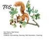Soft Watercolor Illustration Decals Squirrel Wall Sticker, Cute Tree Branch Decal, Stickers Forest Animal Mural Art for Living Room, Bedroom, Nursery
