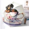 1pc Teacup Dachshund Umbrella with Plastic Handle,Suitable for All Seasons Home Travel Outdoor Umbrellaptys31029