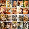 5d Diamond Painting New Cat Full Square/round Embroidery Mosaic Animal Cross Stitch Home Decor Picture
