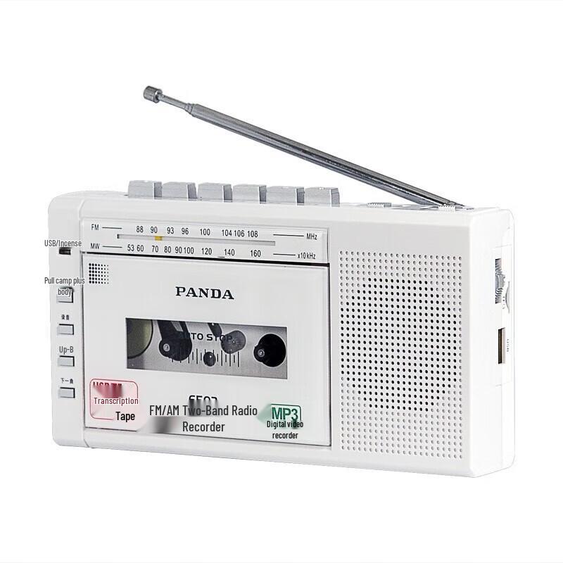 PANDA 6503 Портативный кассетный магнитофон с AM/FM радио и MP3-плеером, штекер CN (адаптер в комплекте)