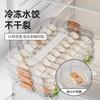 Многоярусный утолщенный контейнер для хранения пельменей, сохраняющий свежесть, Специальный контейнер для замораживания пельменей, Бытовой многоярусный контейнер пищевого качества, Хаотичный ящик
