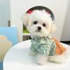 Strap Lace Bear Plaid Skirt Pet Dog Dog Cat Small Dog Spring Summer Autumn Princess Skirt Teddy Bear