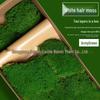 Preserved Deer Antler Moss for Indoor Plant Walls and Display Decor