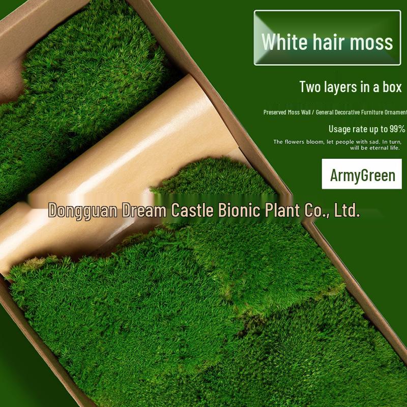Preserved Deer Antler Moss for Indoor Plant Walls and Display Decor