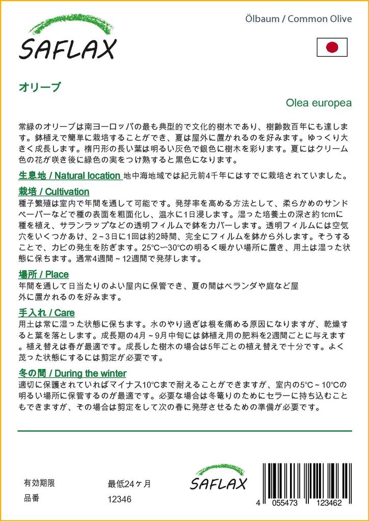 SAFLAX Олива обыкновенная - 20 семян - Olea europea