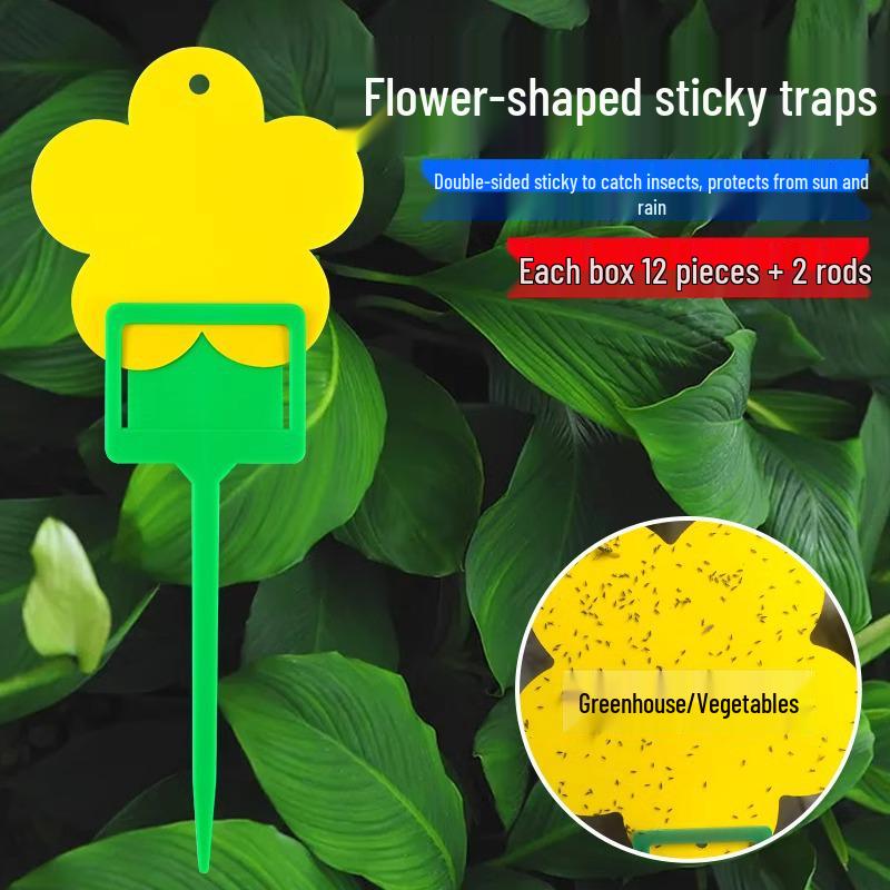 Yellow and Blue Double-Sided Sticky Insect Traps for Small Flies - Indoor Summer Use