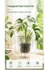 Thickened Transparent Double-Layer Root Control Pot for Phalaenopsis Orchids – Breathable, Large Caliber