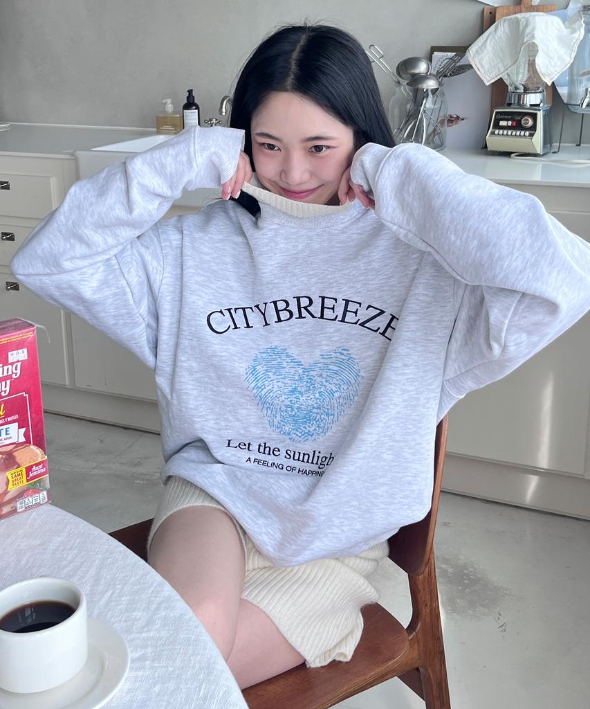 CITYBREEZE Essential Summer Graphic Sweatshirt_3 Colors
