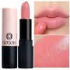 Dodori Performance Creamy Lipstick, DO110 Nude Pink, 1 Piece, 4g