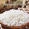 Xianggu Rice Premium Cat Tooth Rice
